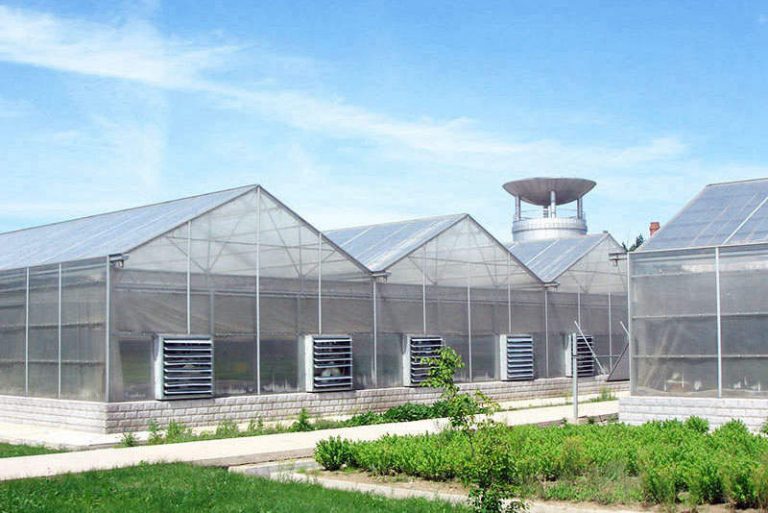 Производитель поликарбонатного листа для теплиц в Китае